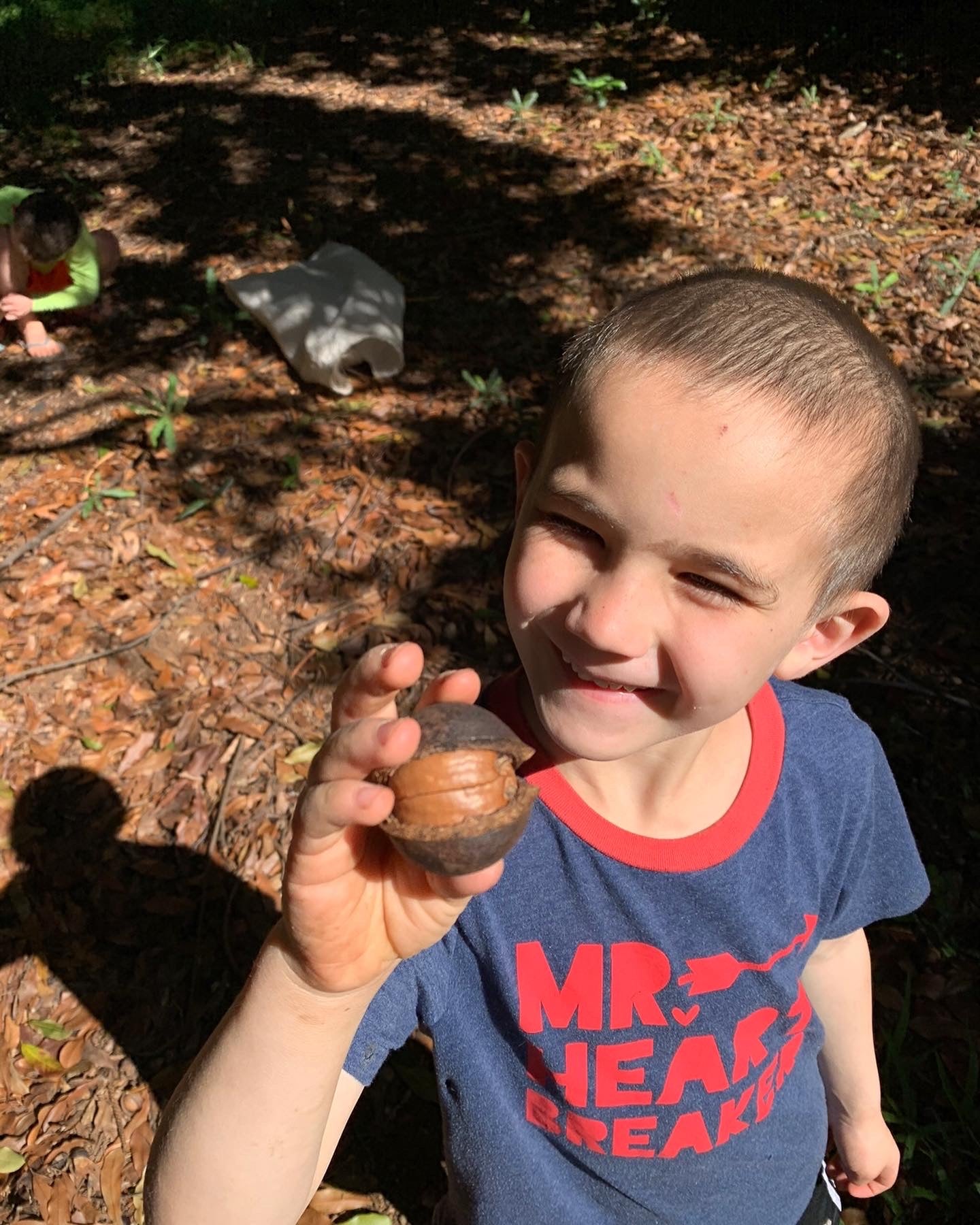 Macadamia Nut in the shell (per pound)