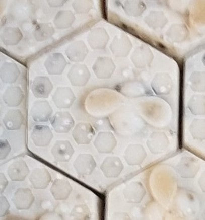 Shine Naturally Buzz Bar—cold-pressed macadamia nut oil soap with tropical fragrance