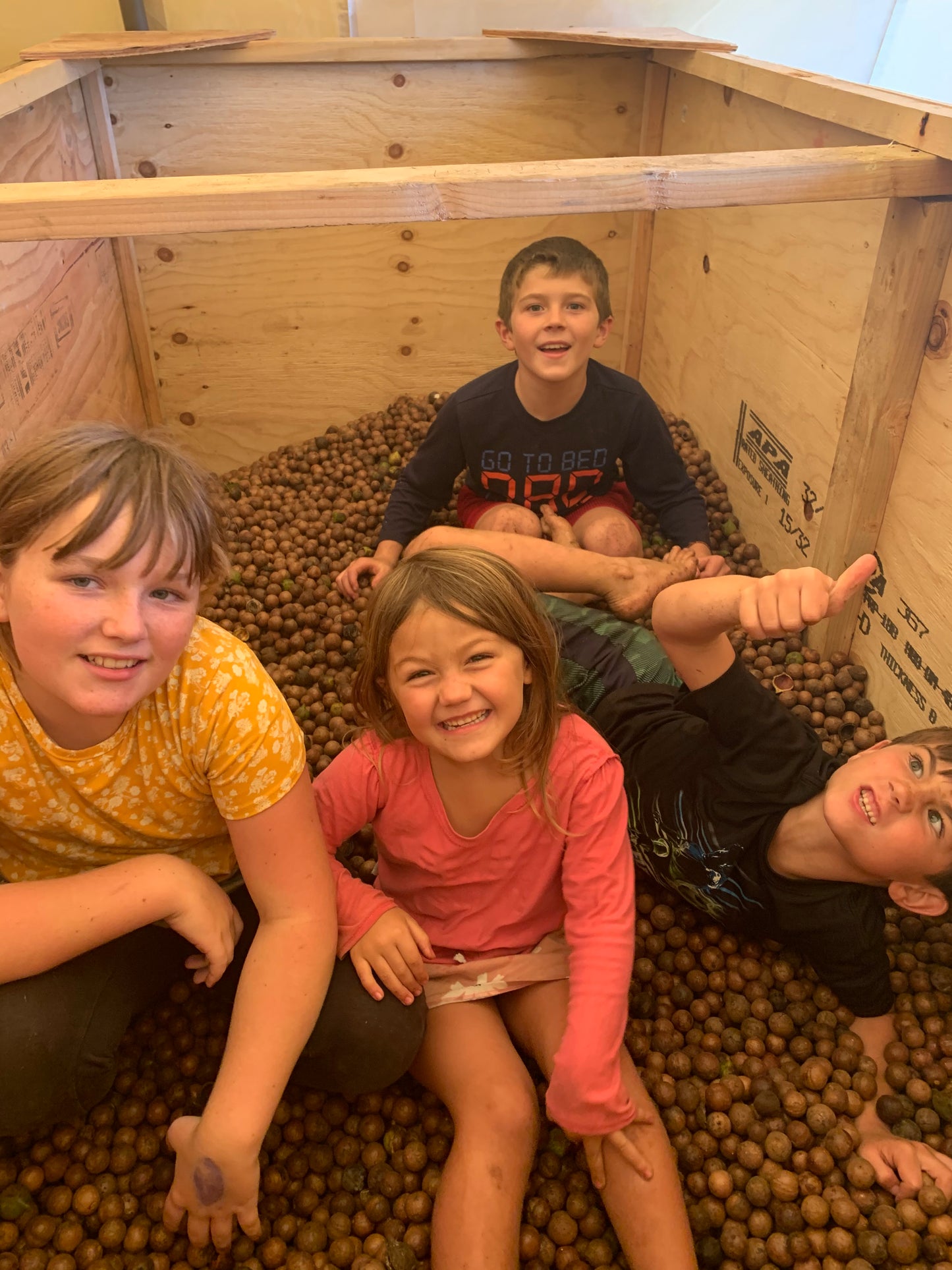 Macadamia Nut in the shell (per pound)