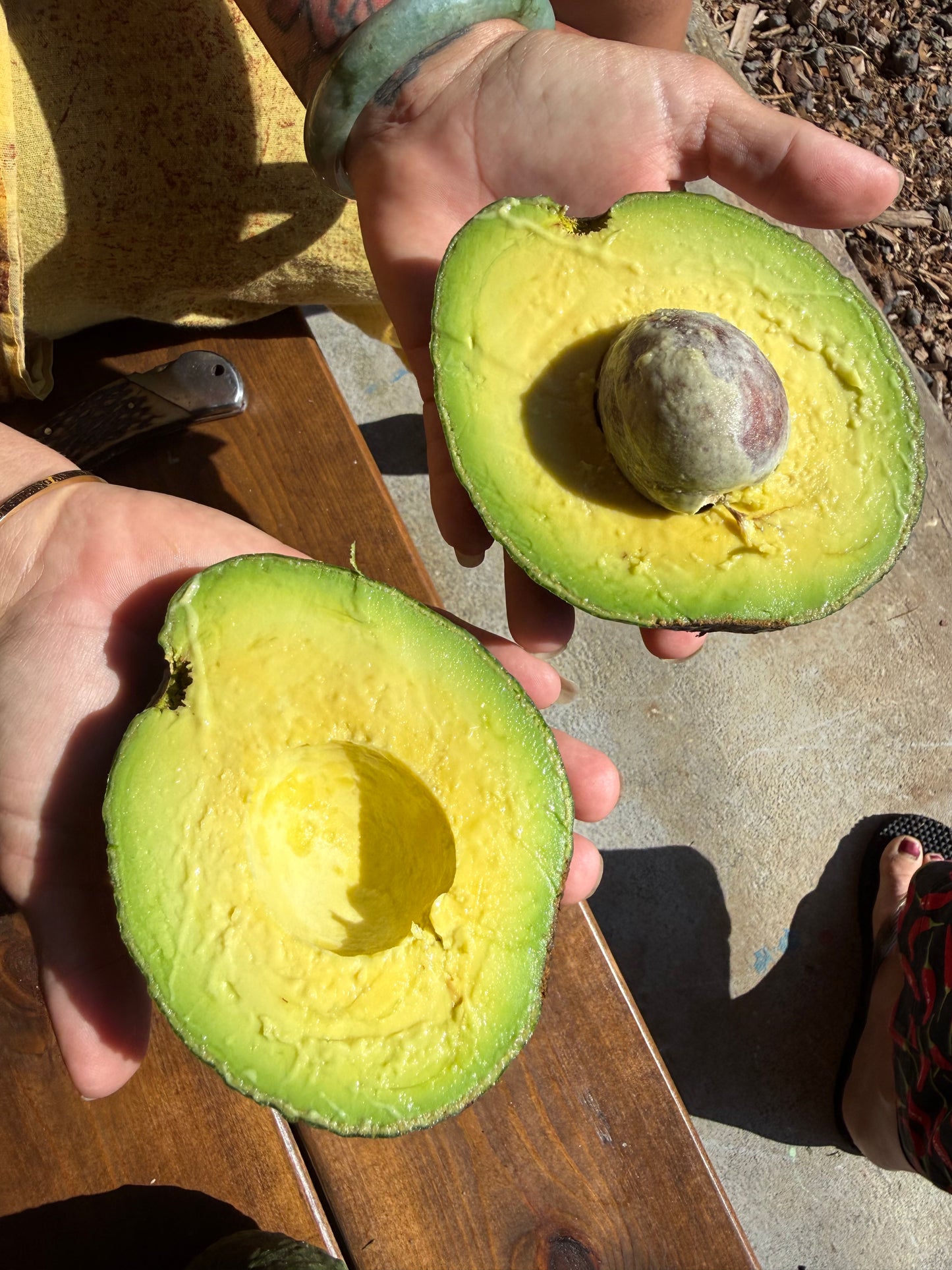 🥑 Local Ohana CSA – $89/month pickup boxes